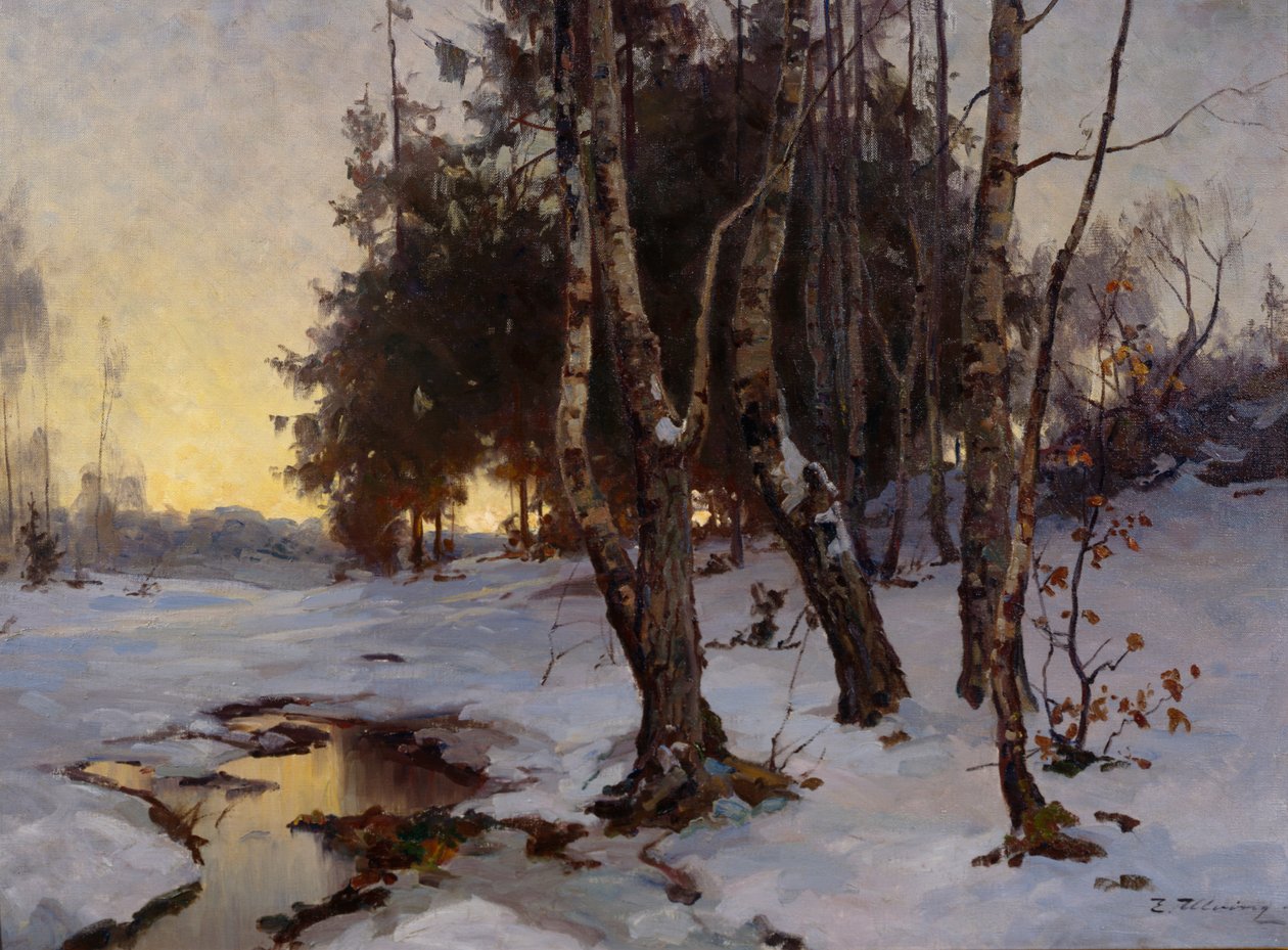 Winterlandschaft von Even Ulving