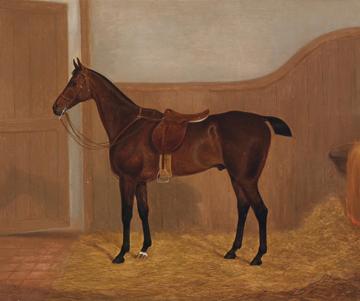 Pferdeporträt (Fireland oder Cocktail) von F. Clifton