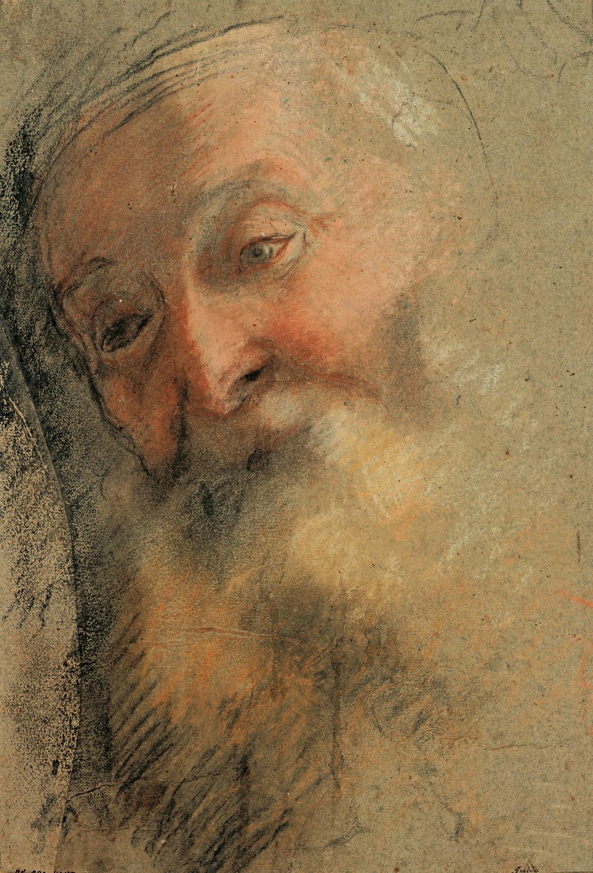 Kopf eines alten bärtigen Mannes, 1584-1586 von Federico Barocci