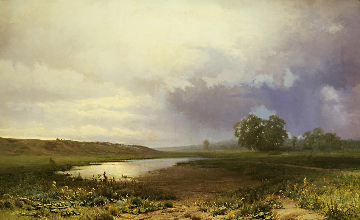 Feuchte Wiese von Fedor Vasilyev