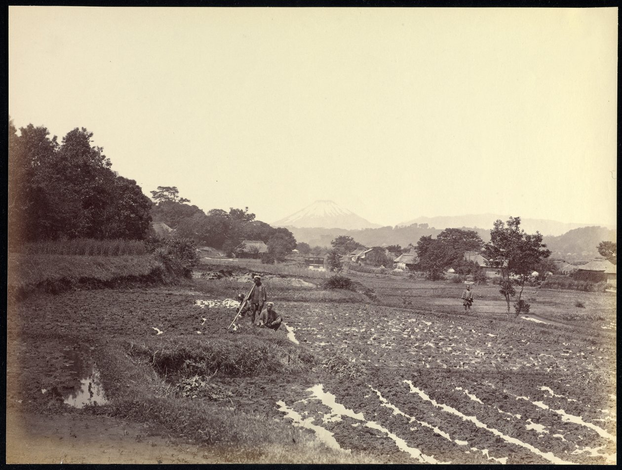 Fujiyama von der Neuen Straße von Felice Beato