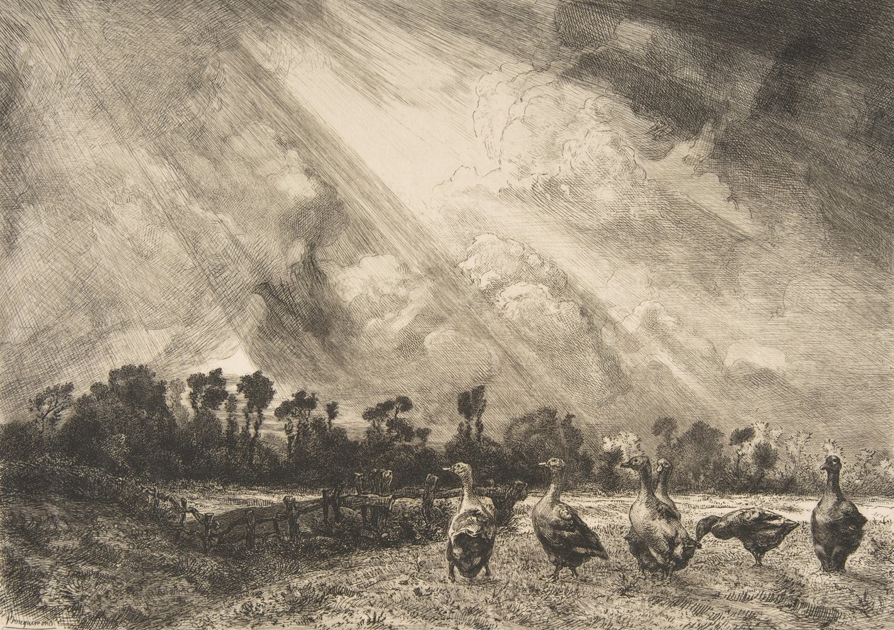 Die Gewitterwolke von Felix Bracquemond