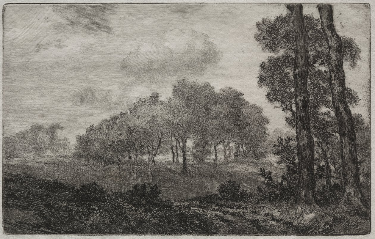 Landschaft, nach Français von Felix Bracquemond