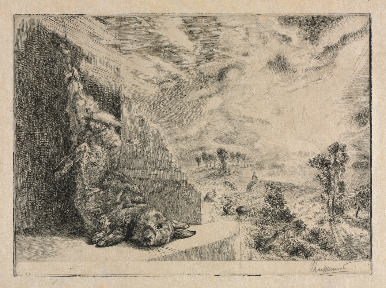 Das Wildkaninchen von Felix Bracquemond