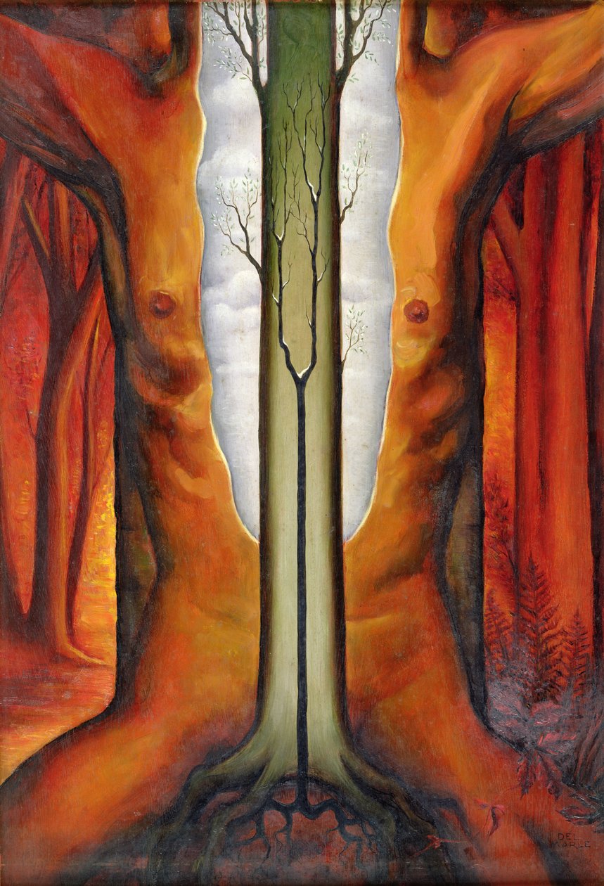 Der Baum-Mann von Felix Del Marle