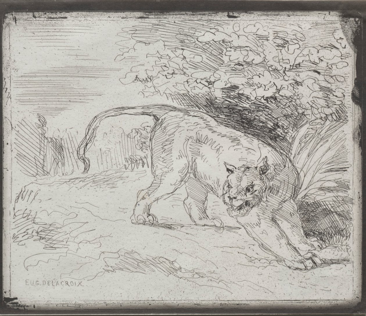 Ein gefangener Tiger, 1854 von Ferdinand Victor Eugene Delacroix