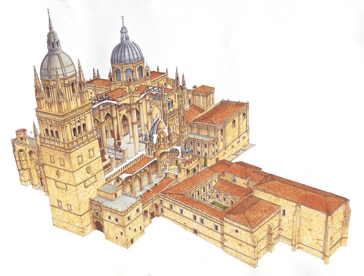 Kathedrale von Salamanca, Spanien von Fernando Aznar Cenamor