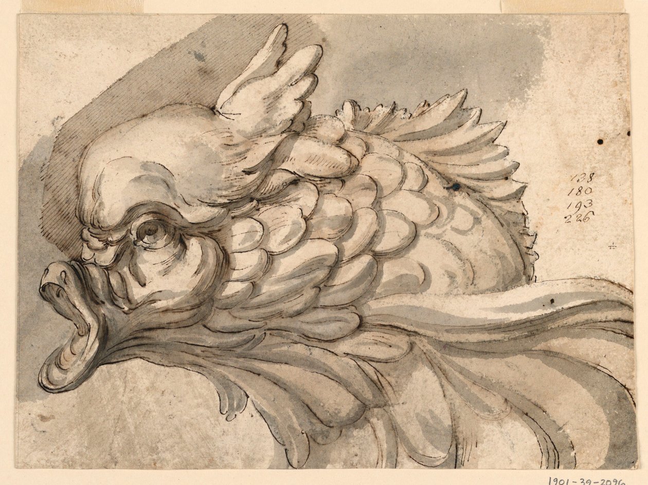 Kopf eines Delfins von Filippo Marchionni