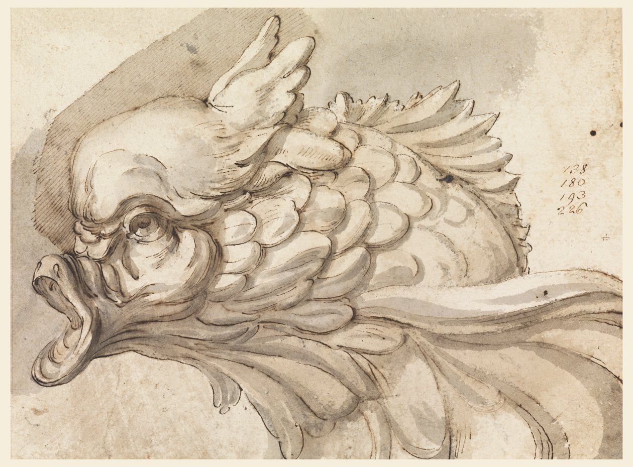 Kopf eines Delfins von Filippo Marchionni