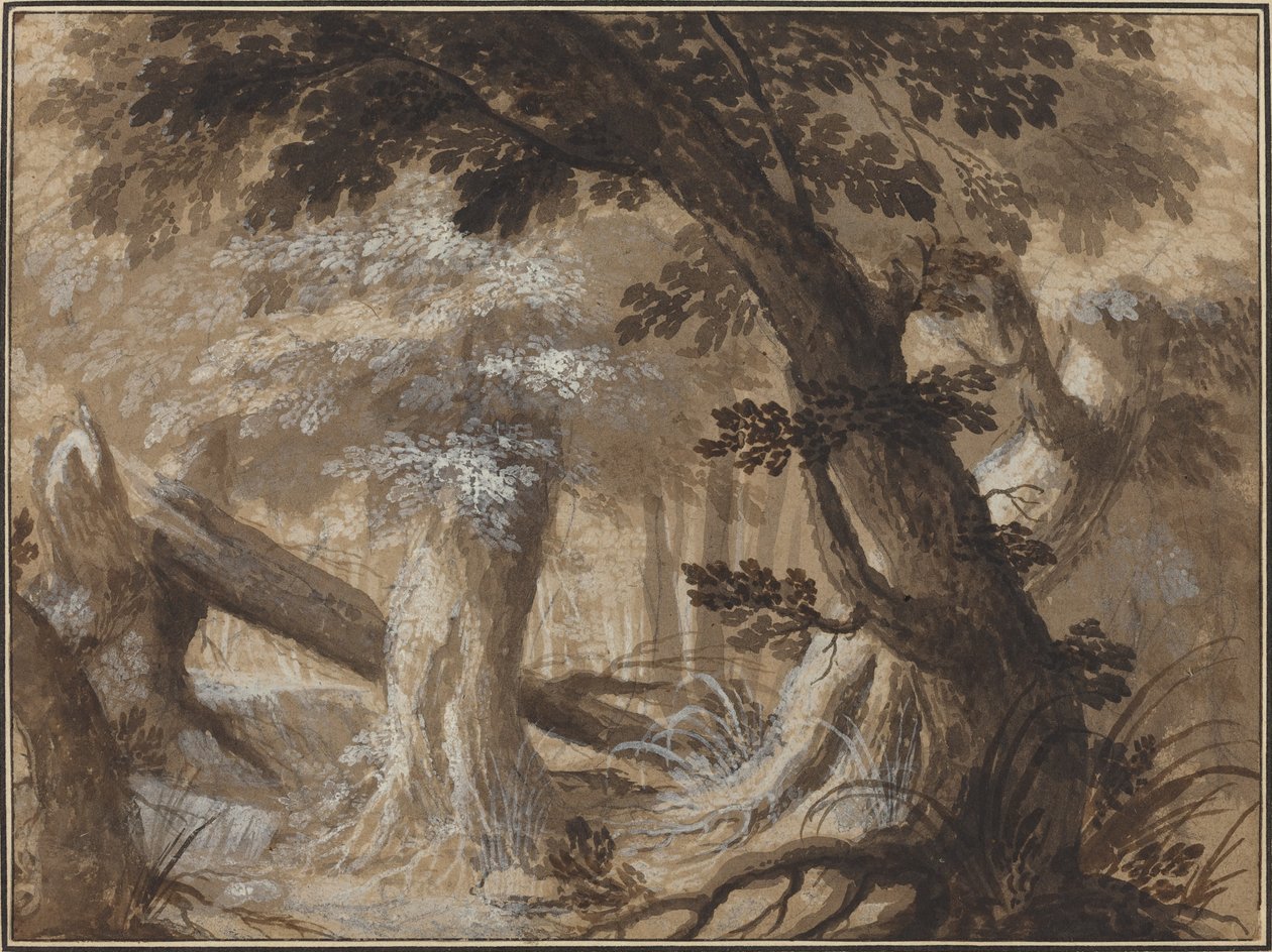 Waldinneres von Flemish 17th Century
