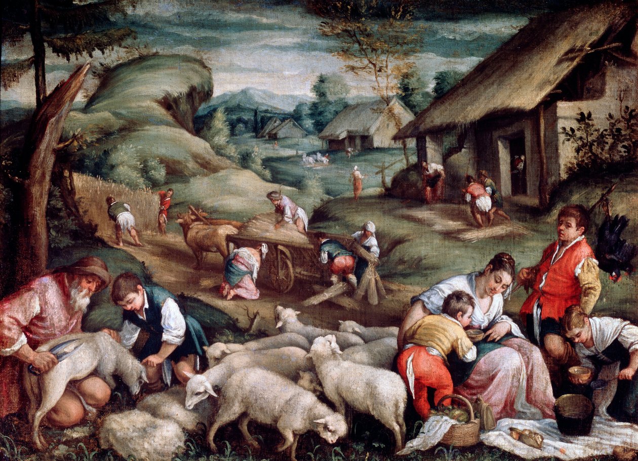 Sommer. Schafschur, ca. 1570-1580 von Francesco Bassano the Younger