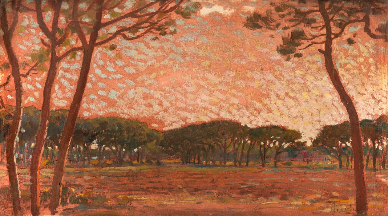 Pinienwald in Maremma von Francesco Gioli