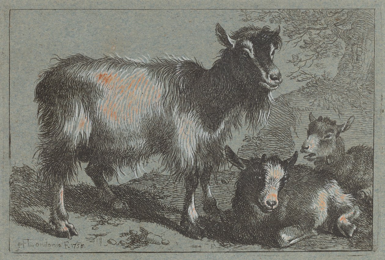 Ziege und zwei Kitze von Francesco Londonio