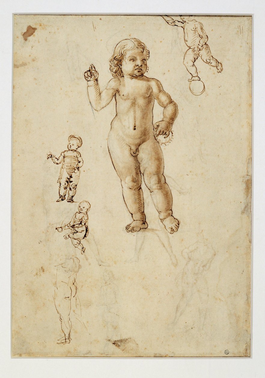 Fünf Studien von Kindern von Francesco di Simone (attr. to)