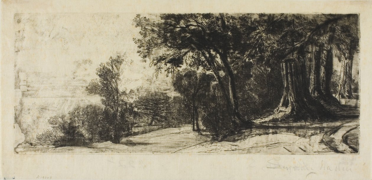 Früher Morgen, Richmond Park von Francis Seymour Haden