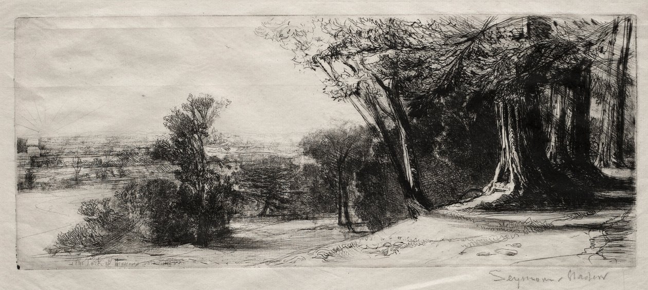 Früher Morgen, Richmond Park von Francis Seymour Haden