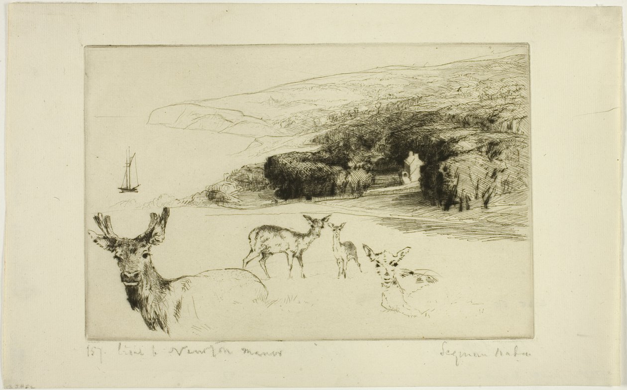 Newton Manor von Francis Seymour Haden