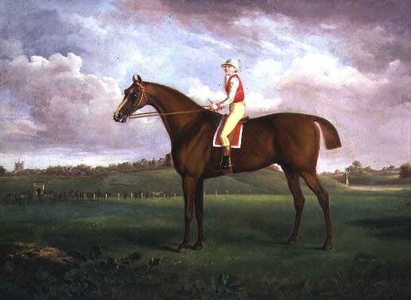 Jockey auf von Francis Towne