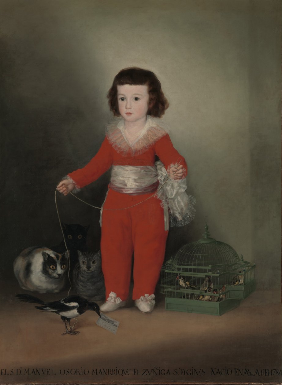 Manuel Osorio Manrique de Zuñiga von Francisco de Goya