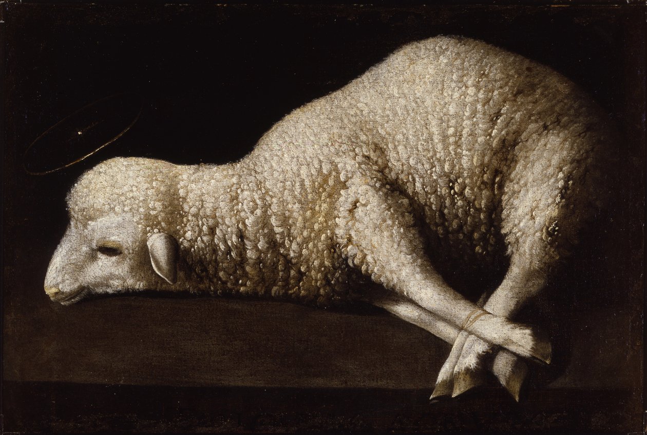 Agnus Dei, ca. 1635-40 von Francisco de Zurbaran