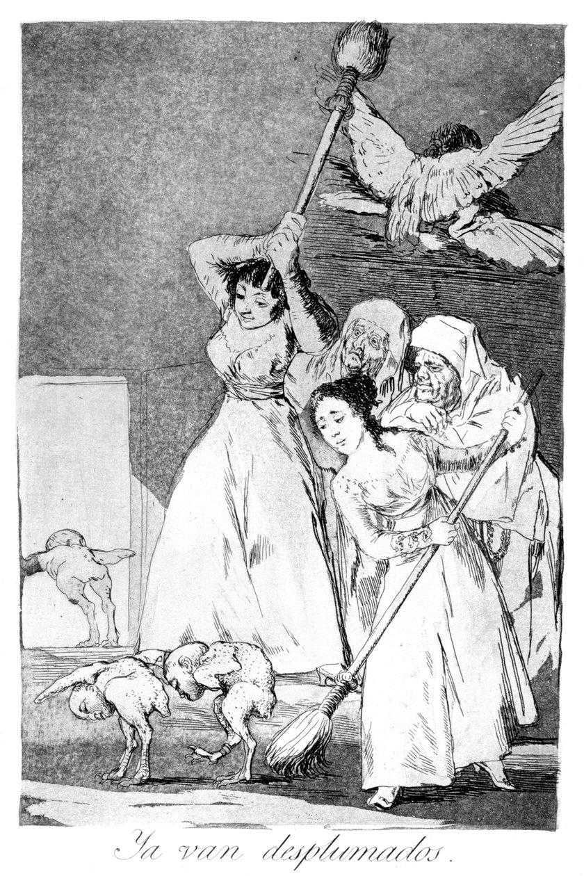 Da gehen sie, gerupft, 1799 von Francisco de Goya