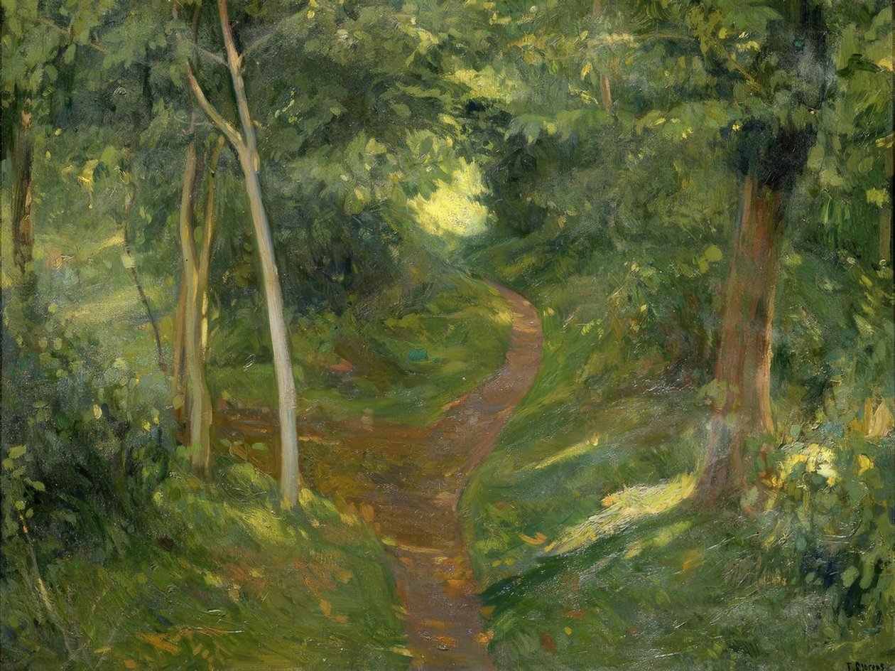 Der Pfad von Francisco Llorens Diaz