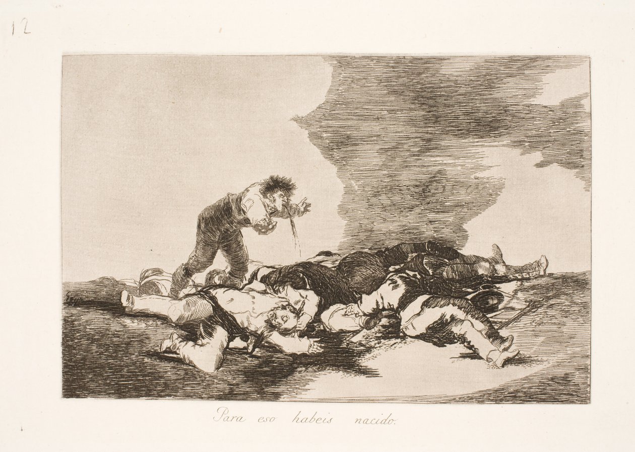 Sind wir dafür geboren (12) von Francisco de Goya