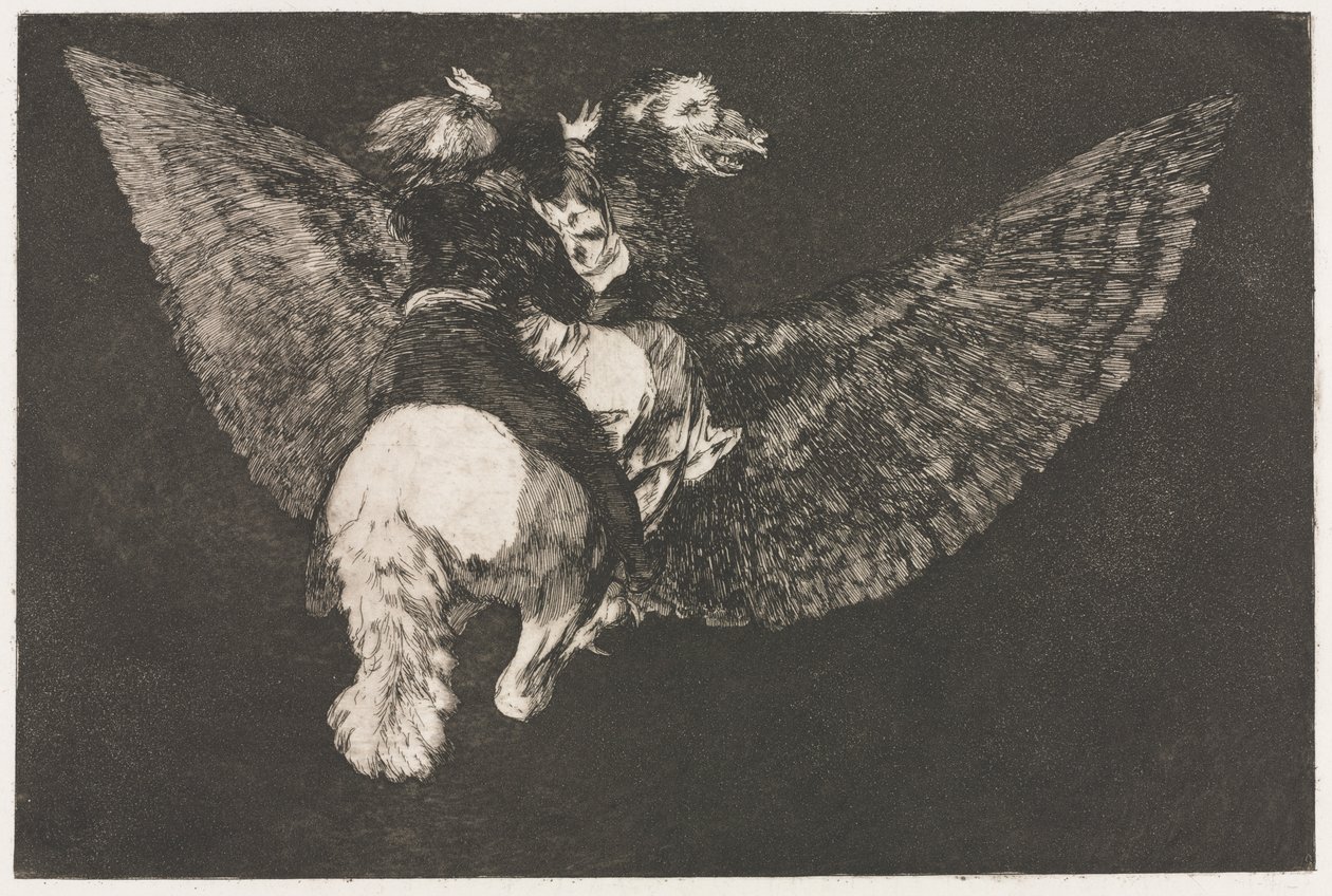 Die Sprichwörter: Fliegender Wahnsinn von Francisco de Goya