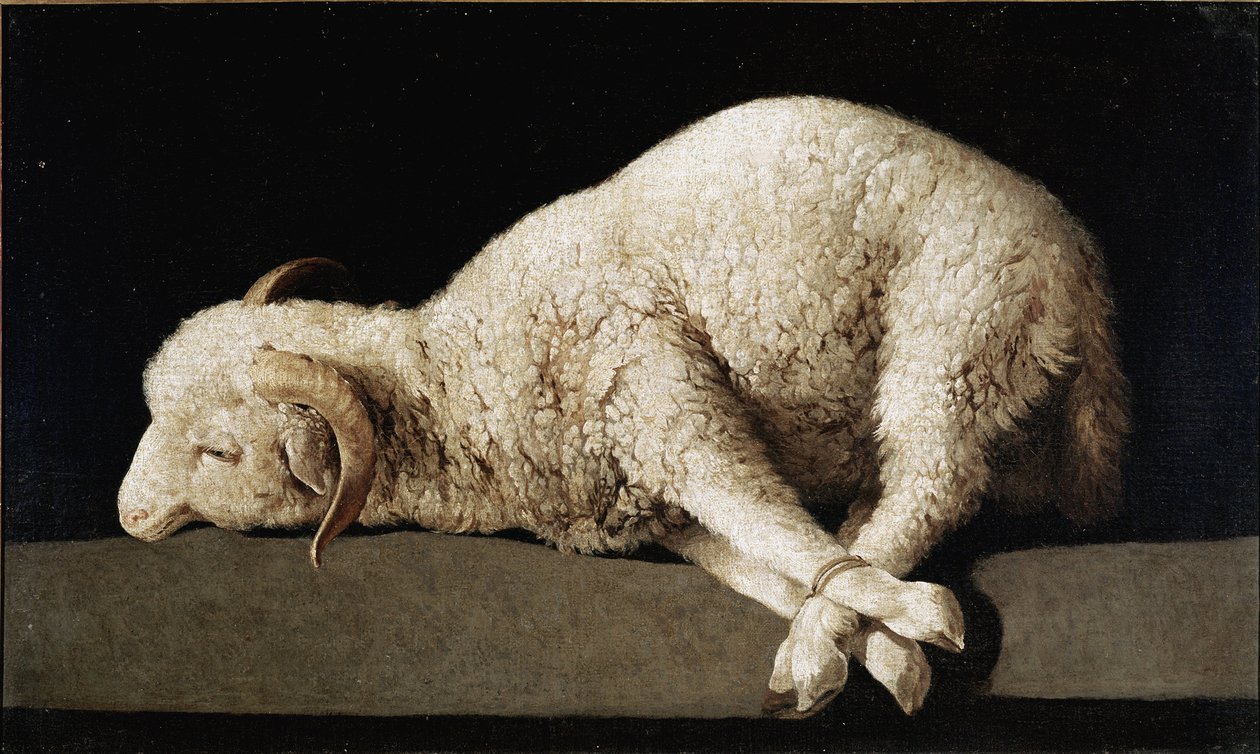 Agnus Dei von Francisco de Zurbaran