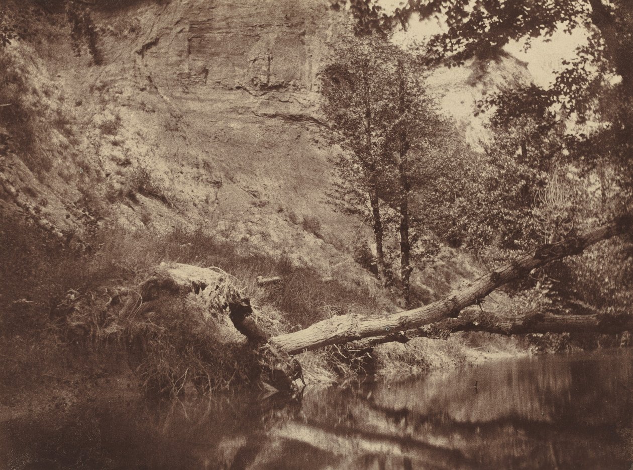 Flussufer, ca. 1855 (Foto) von Frank Chauvassaigne
