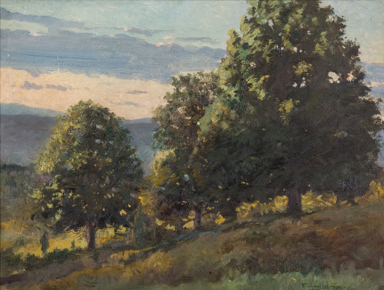 Landschaft von Frank Von der Lancken