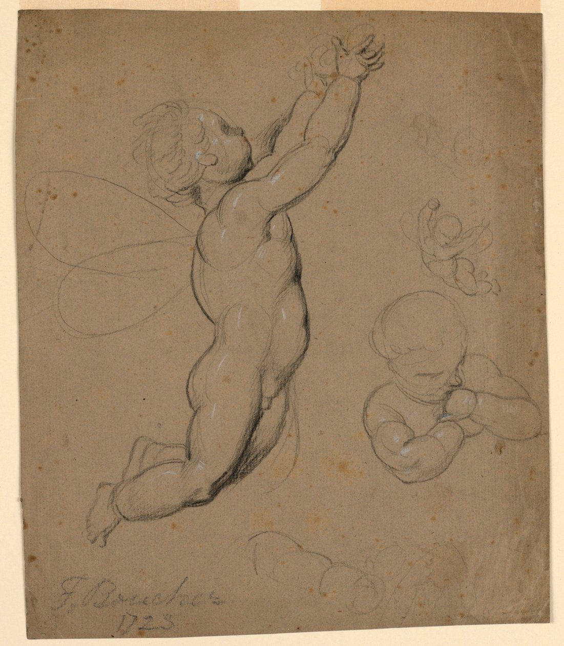 Studien von Putti von François Boucher