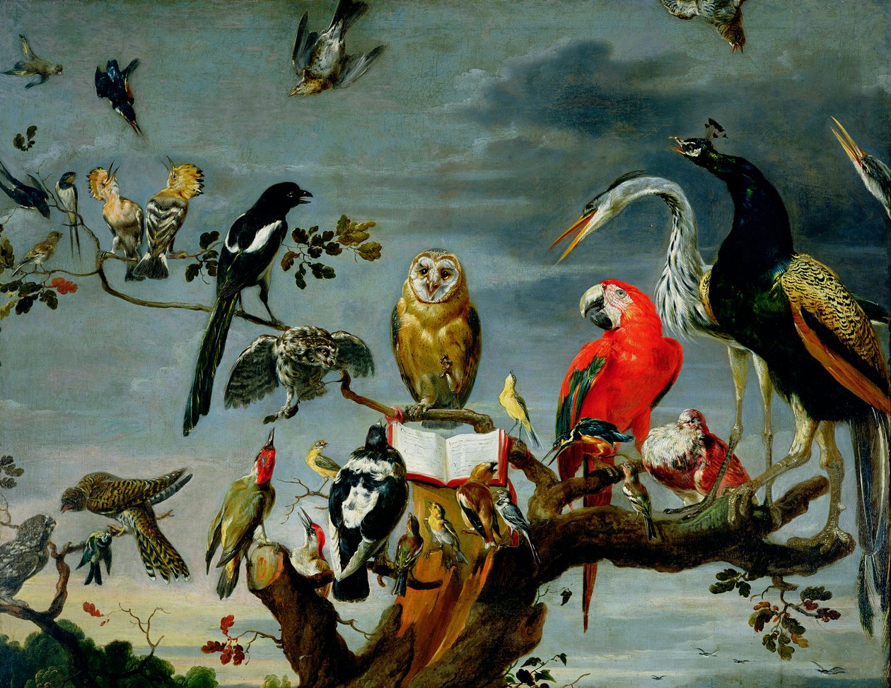 Konzert der Vögel von Frans Snyders or Snijders