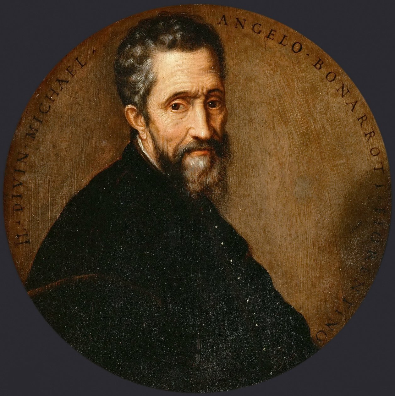 Michelangelo Buonarroti von Frans Floris