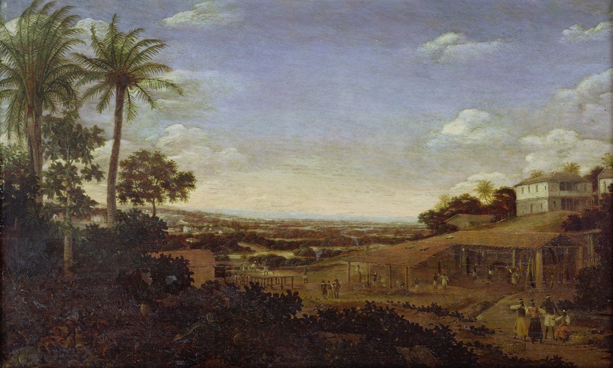 Unbekanntes Bild von Frans Post
