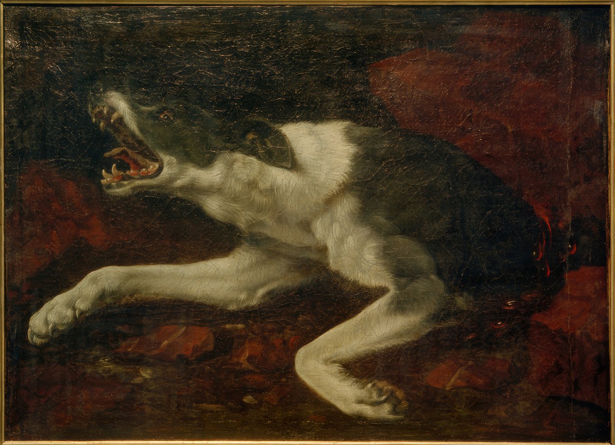 Verletzter Hund von Frans Snyders or Snijders