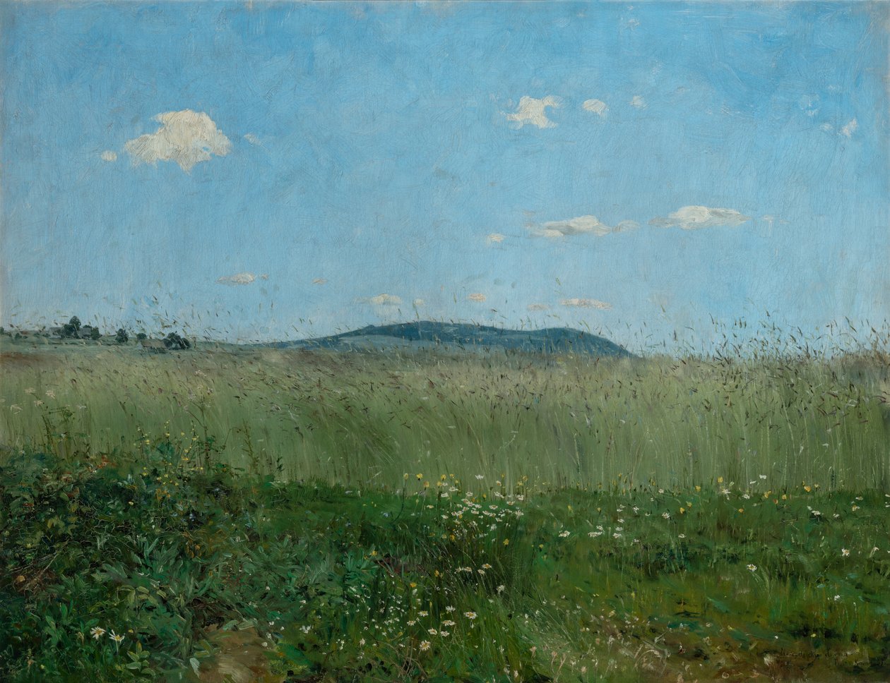 Die Luft der Heimat von Frantisek Kavan
