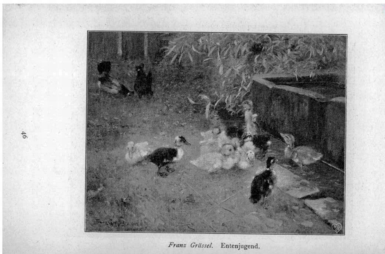 Entenjugend von Franz Grassel