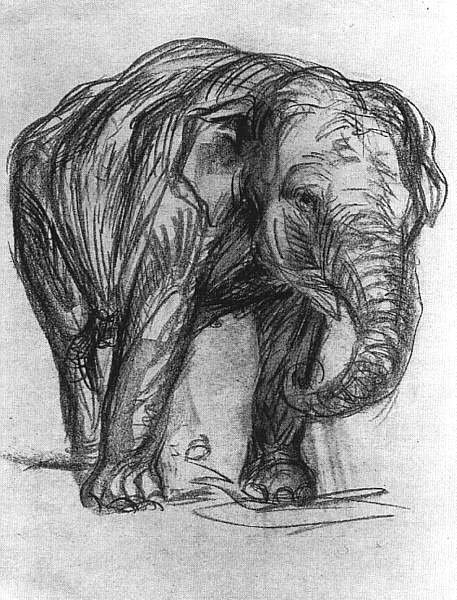 Elefant von Franz Marc