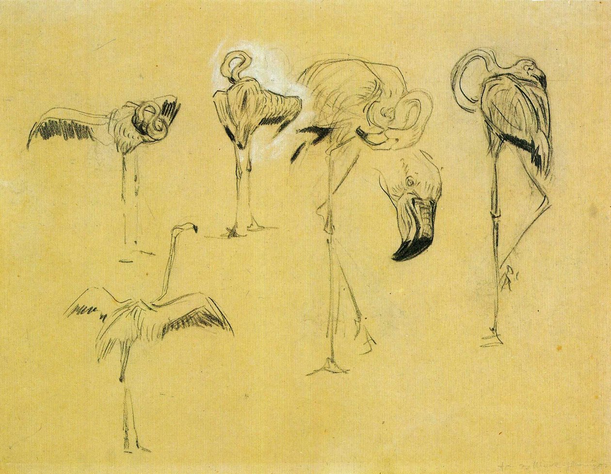 Flamingos von Franz Marc