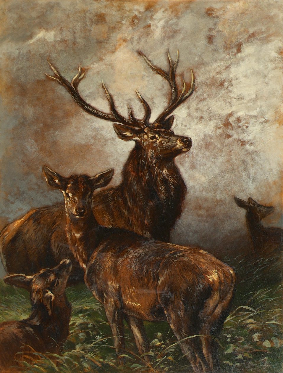 Hirsch und Hirschkuh von Franz Xaver von Pausinger