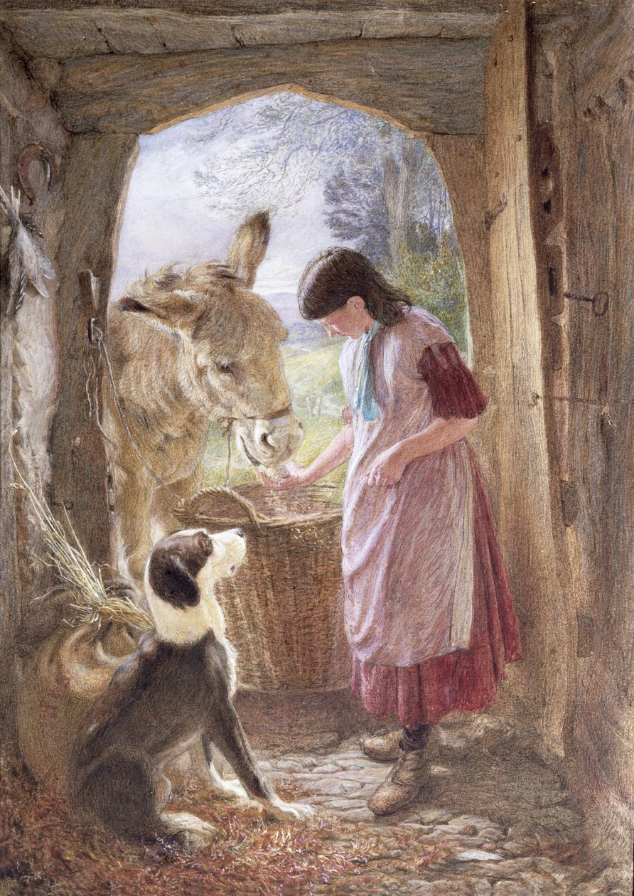 Fütterung von Dimple von Frederic James Shields