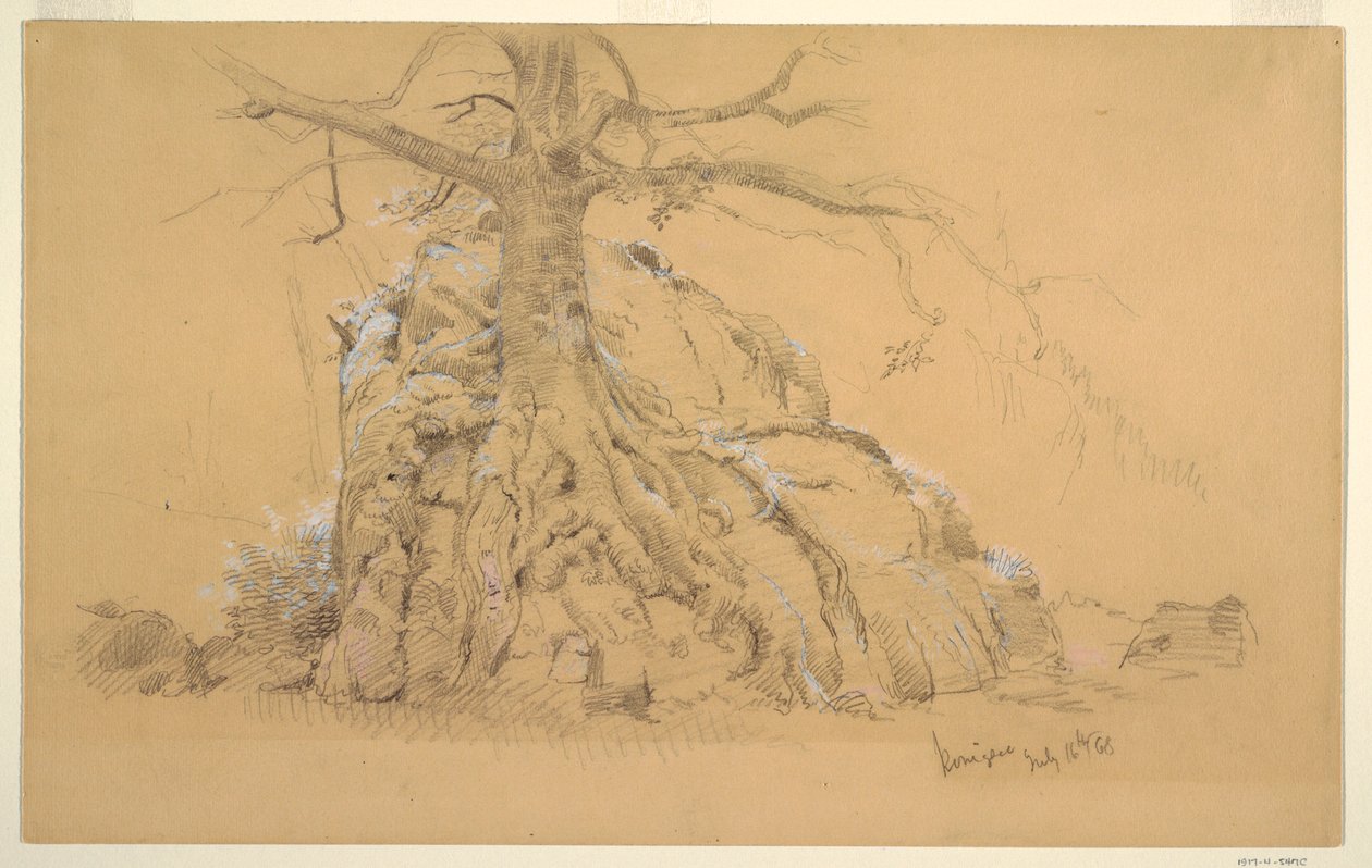 Königssee Baum, 16. Juli 1868 von Frederic Edwin Church