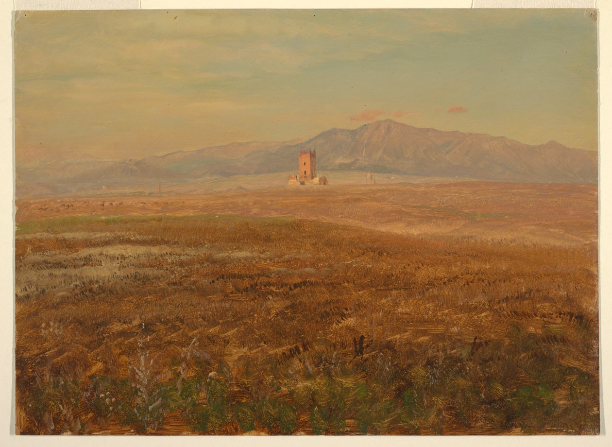 Mexikanische Landschaft von Frederic Edwin Church