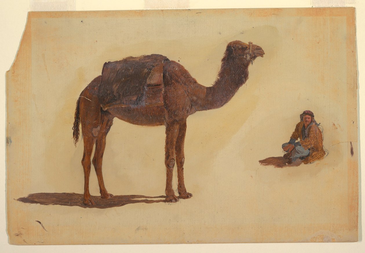 Zeichnung, Studie eines Dromedars von Frederic Edwin Church