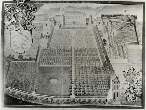 Der Königliche Heilpflanzengarten von Frederic Scalberge