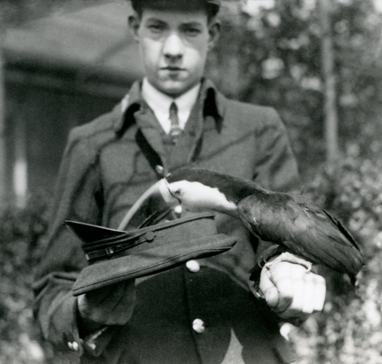 Ein Rotkieltukan zieht ein Los aus einem Hut, gehalten von Wärter C. Hersey, London Zoo, 1923 von Frederick William Bond