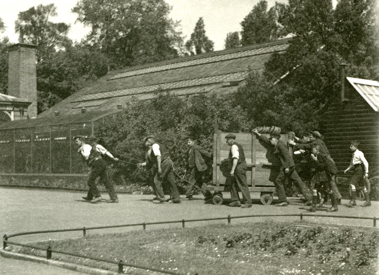 Ein Team von Männern bewegt den Leoparden in einer Holzkiste, gefolgt von zwei Jungen, Londoner Zoo, 1922 (Schwarz-Weiß-Foto) von Frederick William Bond