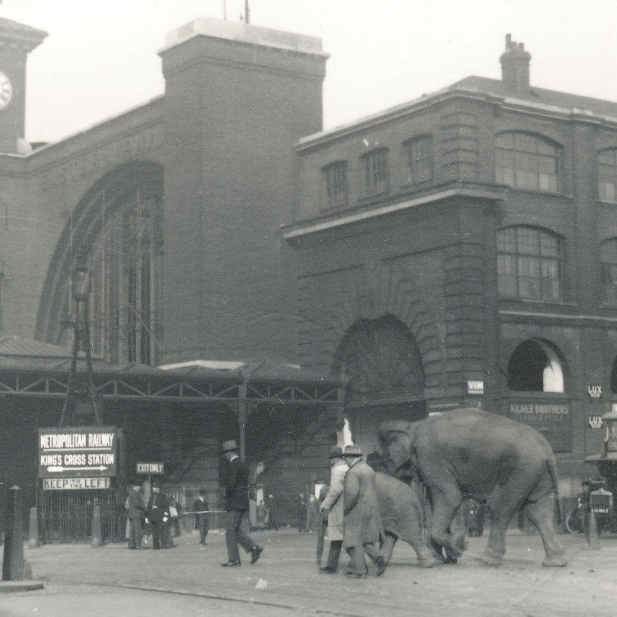 Elefanten gehen von den Docks am Bahnhof Kings Cross vorbei auf dem Weg zum ZSL London Zoo, September 1927 von Frederick William Bond