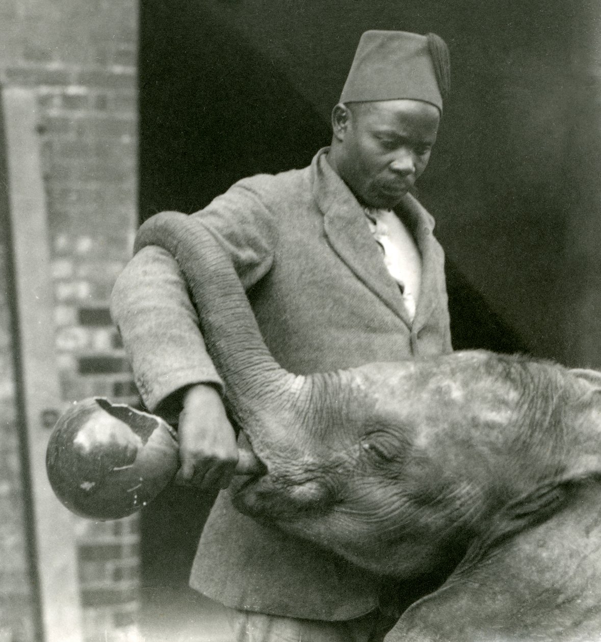 Junger afrikanischer Elefant Kiberenge wird von Darisha getränkt, während Syed Ali im Hintergrund zusieht, London Zoo, September 1923 von Frederick William Bond